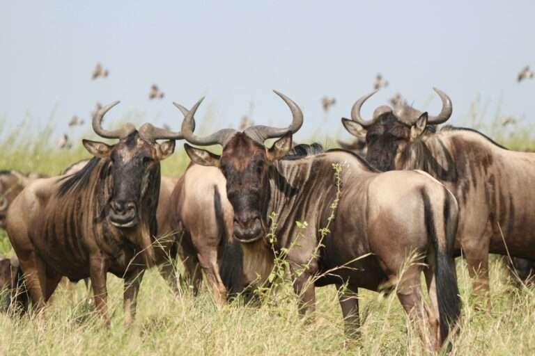 paula-sleiman-cDhnmw950UU-unsplash